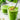 Batido Verde