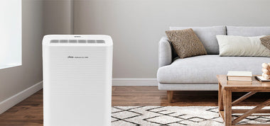 Cómo funciona un deshumidificador y cuándo usarlo en casa