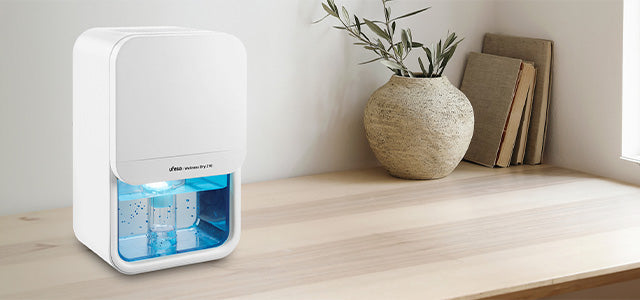 ¿Cuándo usar un deshumidificador? Señales que no deberías ignorar