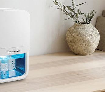 ¿Cuándo usar un deshumidificador? Señales que no deberías ignorar