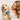 Set de arreglo para mascotas Pet Buddy Groom