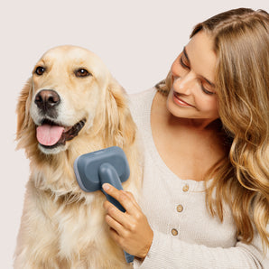 Set de arreglo para mascotas Pet Buddy Groom
