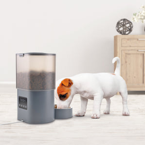 Comedero para mascotas PetBuddy Feed
